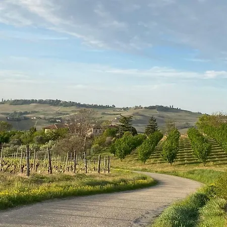 住宿加早餐酒店 La Collina Di Romana 卡斯塔诺兰泽