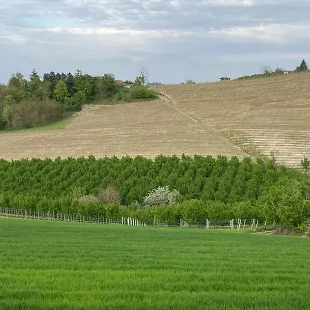 Bed & Breakfast La Collina Di Romana Castagnole delle Lanze